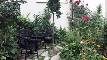 Begrüner Innenhof mit blühenden Rosen
