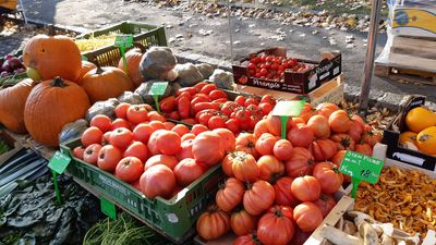 Bauernmarkt am Leopold-Kunschak-Platz Buntes Gemüse auf einem Marktstand