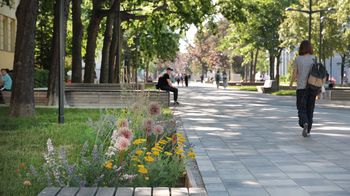 Zu sehen ist die umgestaltete Franklinstraße mit Sitzbänken und Blumenbeeten in Floridsdorf.