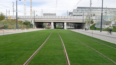 Mit gras bewachsener Gleiskörper einer Straßenbahn der in eine Unterführung führt