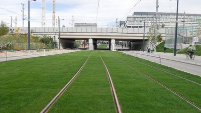 Grüngleise der Linie O Mit gras bewachsener Gleiskörper einer Straßenbahn der in eine Unterführung führt