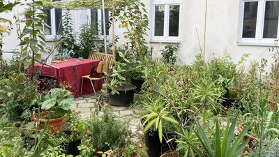 Innenhof mit vielen grünen Pflanzen in Töpfen