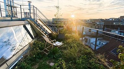 Foto von grüner Dachterrasse bei Sonnenuntergang