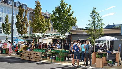 Blick auf Marktstände und Bäume auf einem Platz