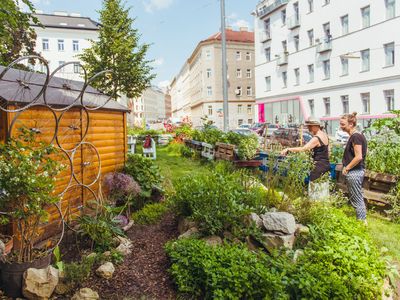 Nachbarschaftsgarten Matznergarten in Penzing