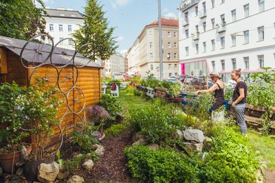 Nachbarschaftsgarten Matznergarten in Penzing