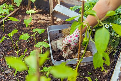 Nachbarschaftsgarten Matznergarten 