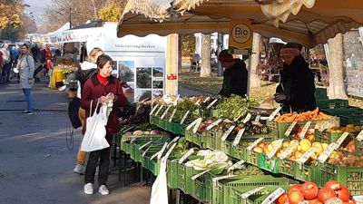 Frau beim Einkaufen an einem Marktstand mit Gemüse