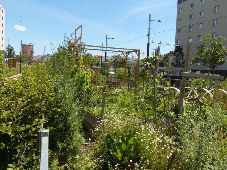 Sonnwendgarten