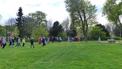 Zentralfriedhof Tour durch den Zentralfriedhof