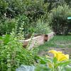 Pädagogikgarten im 5. Bezirk
