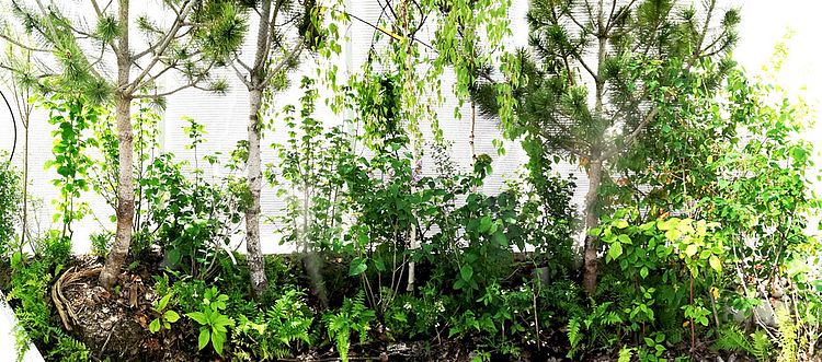 Coolspot Floridsdorf