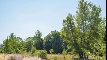 Sommerliches Bild einer Gstettn