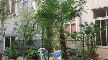 Sitzgarnitur, Palme, Pflanzen in Kübeln