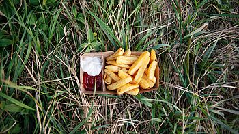 Pommes mit Mayo und Ketchup auf einem Teller in der Wiese.