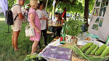 Stand mit Informationen und grünem Gemüse, Personen im Gespräch