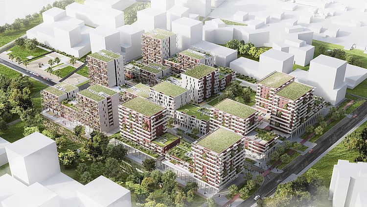 BAG6_Perspektive_004cBagienski