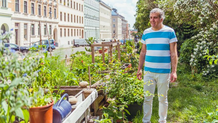 Farouk im Nachbarschaftsgarten Matznergarten
