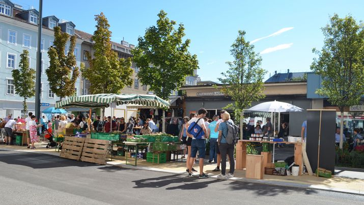 Blick auf Marktstände und Bäume auf einem Platz