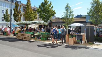 Blick auf Marktstände und Bäume auf einem Platz