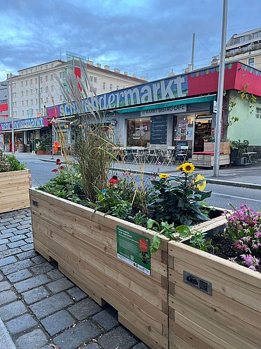 Hochbeet am Schwendermarkt