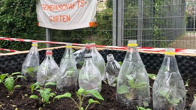 frederic-Morton-Park Hochbeet mit Plastikflaschen als Gewächshäuser, im Hintergrund ein Transparent mit der Aufschrift "Gemeinschaftsgärten"