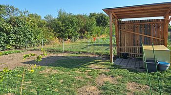 Ein Gemüsebeet wurde angelegt. 