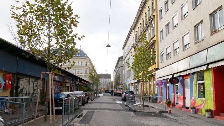 Neue Bäume in der Nordzeile Blick in eine Straße mit bunten Hausfassaden, links und rechts neu gepflanzte Bäume mit grünen Blättern