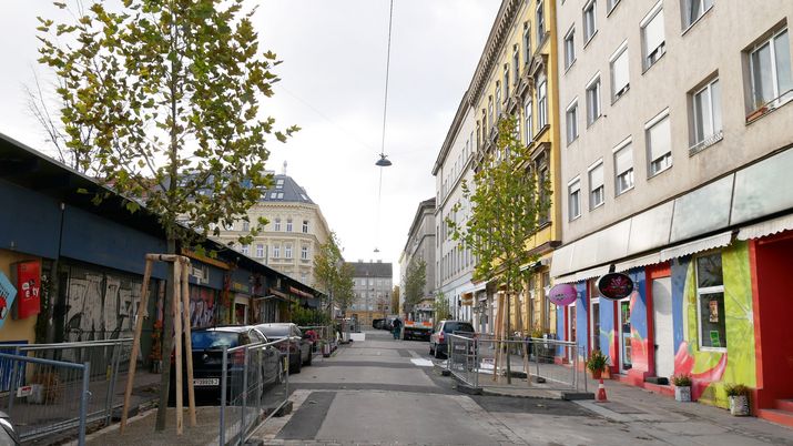 Blick in eine Straße mit bunten Hausfassaden, links und rechts neu gepflanzte Bäume mit grünen Blättern