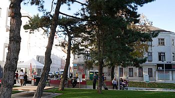 Der neue Dreiecksplatz Mediterrane Nadelbäume und eine Sitzplattform aus Naturholz stehen auf einer Rasenfläche