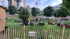 Nachbarschaftsgarten Zwischen(T)raum
