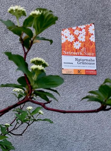 Plakette Naturnahe Grünoase