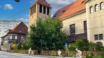 Die Biodiversitätshecke bei der Evangelischen Pfarre am Tabor 5.