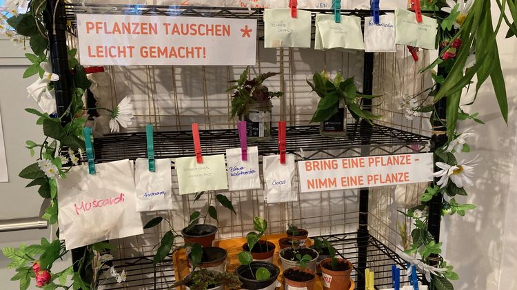 Pflanzentauschregal mit Grünpflanzen und diversen Pflanzensamen
