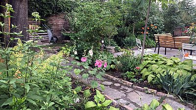 Innenhof_mitte_08 Kleine Wege inmitten üppiger Grünpflanzen schlängeln sich durch diesen Josefstädter Innenhof.