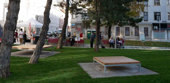 Auf einer grünen Rasenfläche staht eine Sitzplattform, auf der Wiese wachsen große Föhren