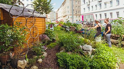 Nachbarschaftsgarten Matznergarten in Penzing Nachbarschaftsgarten Matznergarten in Penzing