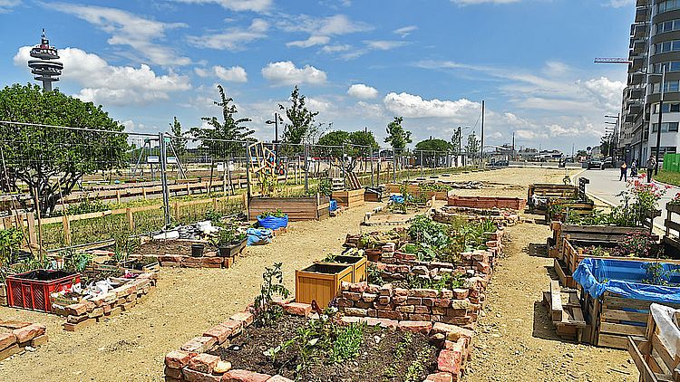 Auch Garteln fördert das Zusammenwachsen von Alt und Neu.