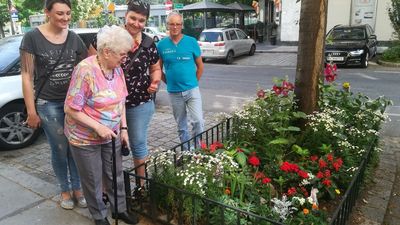 Eine Gruppe sieht sich eine begrünte Baumscheibe an.