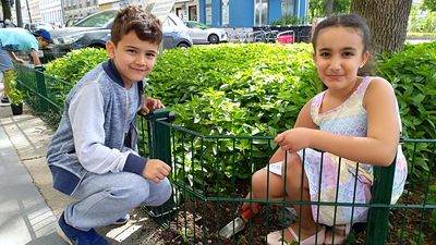 Zwei Kinder in einem Minzbeet im Rotundengarten.
