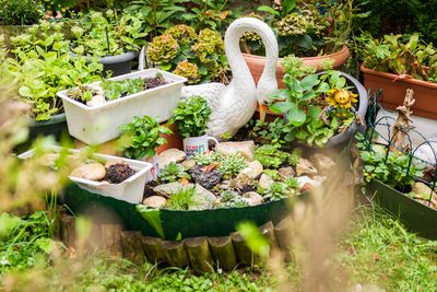 Gemeinschaftsgarten im Gemeindebau