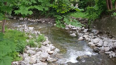 Liesingbach