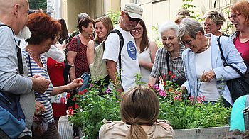 Rundgang durch Wiens begrünte Innenhöfe