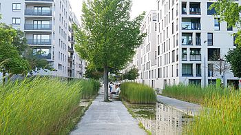 Blick aus einem grünen Park auf helle, neue Wohngebäude