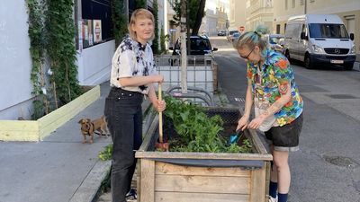 Zwei junge Frauen bepflanzen ein Hochbeet