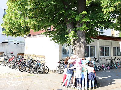 mehrere Kinder umarmen einen Baum