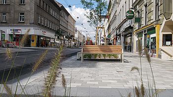 Thaliastraße 1. Abschnitt Neue Bank am Gehsteig, davor Gräser
