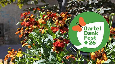 Bunt blühende Blumen in Baumscheibe