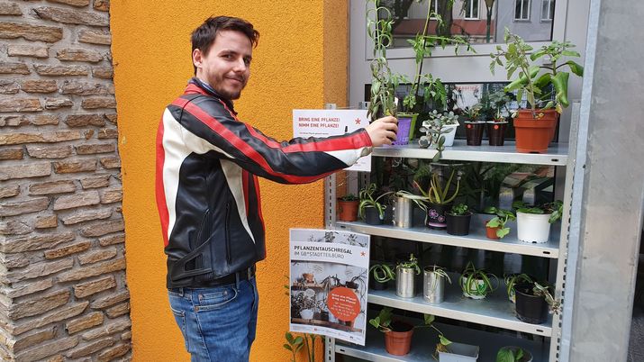 Ein junger Mann mit Motorradjacke stellt eine kleine Topfpflanze in ein Regal, in dem andere Pflanzen stehen.