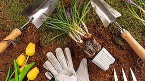 Werkzeuge und Handschuhe zum Arbeiten im Garten.